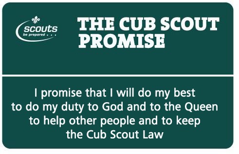 cub-promise cub-promise